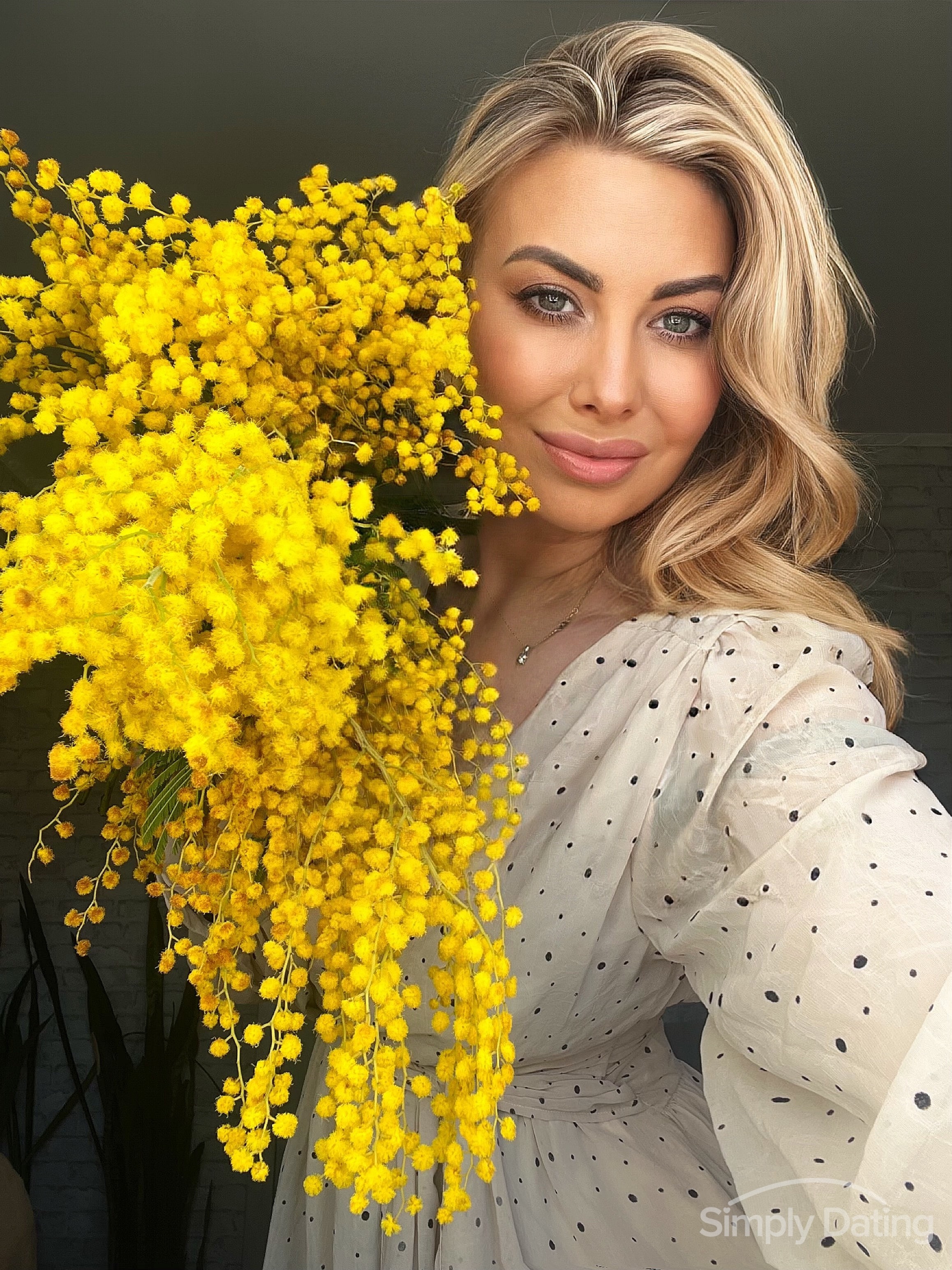 Foto del profilo di macarons