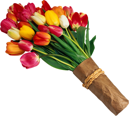 Bouquet of tulips